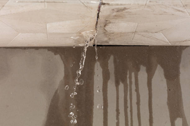 Professional Structural Drying technician working in Random Lake, WI